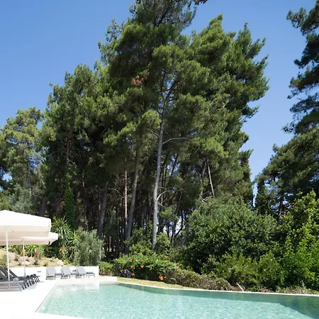 Beachfront Achillion Bay In Corfu 别墅 *